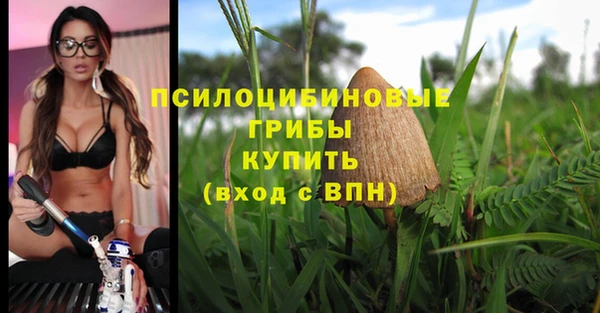 твердый Белокуриха