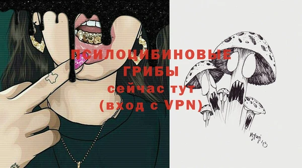 твердый Белокуриха