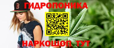 СК Обь