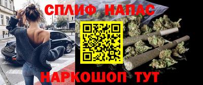 СК Обь