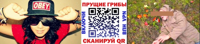 где можно купить   Дагестанские Огни  hydra ССЫЛКА  Галлюциногенные грибы прущие грибы 