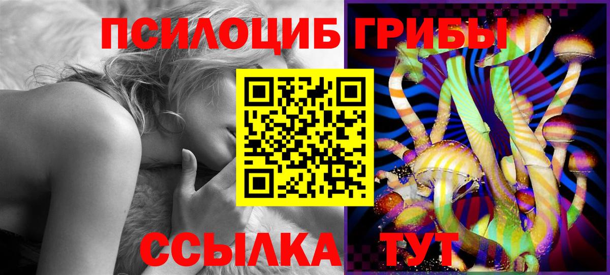 Галлюциногенные грибы Magic Shrooms  Галлюциногенные грибы Magic Shrooms  Вход с VPN  Дагестанские Огни 